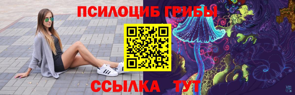 Псилоцибиновые грибы Psilocybe Новокубанск