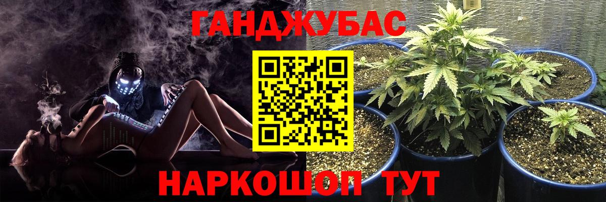 Шишки марихуана сатива Новокубанск